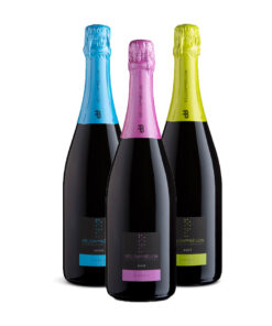 Collezione Party | Pack 12 bottiglie